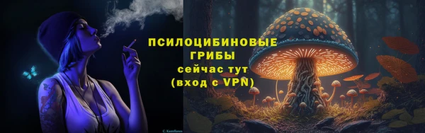 ПСИЛОЦИБИНОВЫЕ ГРИБЫ Гусиноозёрск