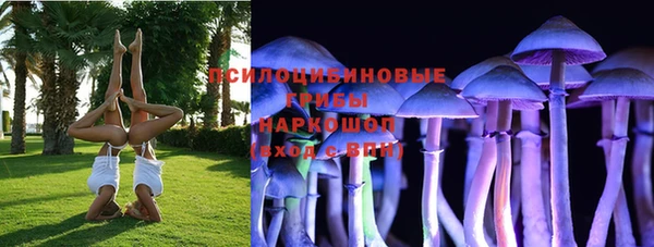 стаф Горнозаводск