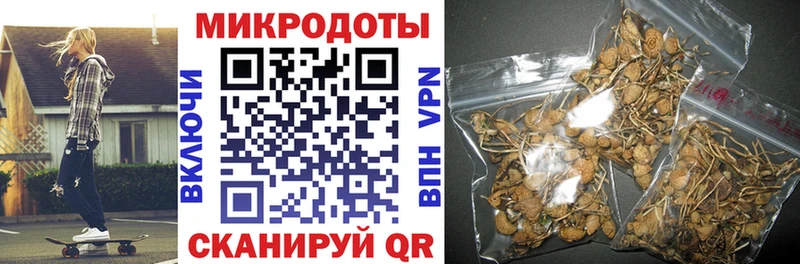 Псилоцибиновые грибы Cubensis  Купить  Куровское 